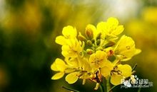 阳光温暖我心田