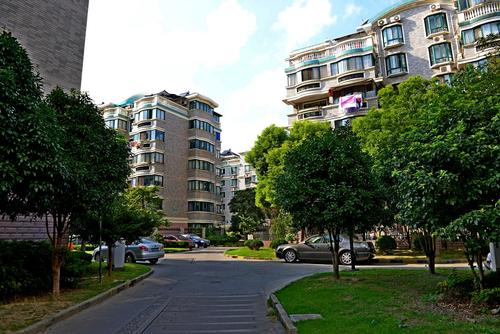 文学才能使我如此美丽