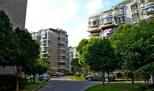 文采让我如此美丽