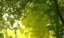 相遇的过客总会分离