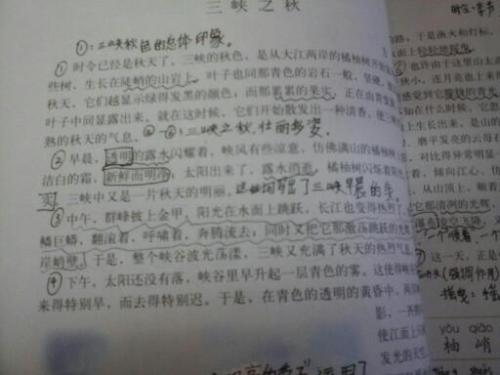 秋天来了