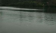 风光秀丽的九龙湖