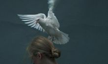 不应被惊扰的美好