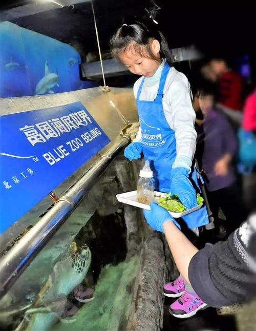 品尝我的手艺
