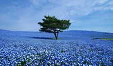 美丽的滨海公园