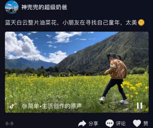 看完雪山的女儿