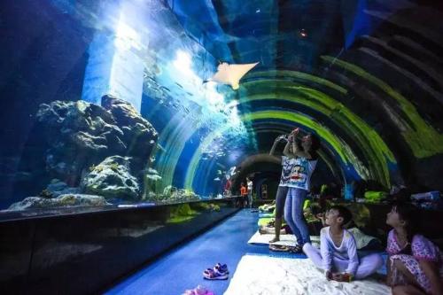 在水族馆过夜