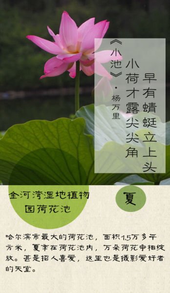 古代诗歌中的夏天