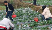 对生活抱之以歌