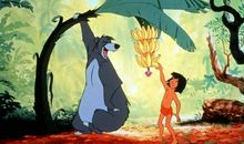 《森林王子》读后感