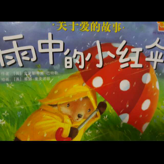 风雨中的故事