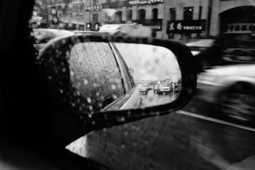 被雨打动