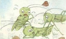 蚂蚁蛋壳看图写话