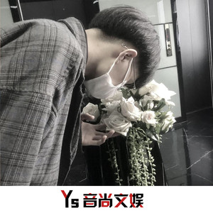 我独特的构图300字