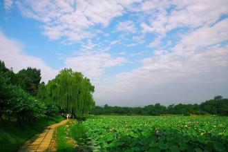 雨后