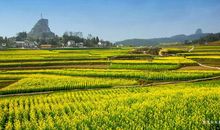 美丽的黄岩中学