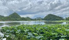 丝丝懊悔流过心田