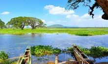 南亚花园的春天