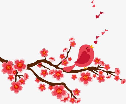 后院的梅花树