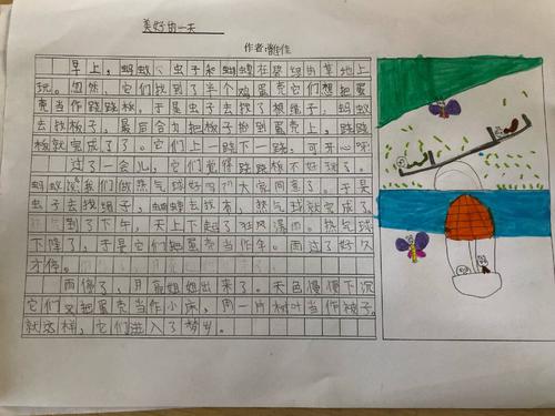 万能蛋壳