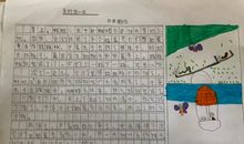 万能的鸡蛋壳看图写话