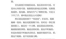 我家的故事作文400字