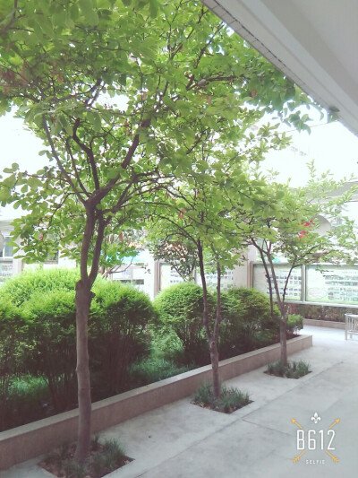 你好