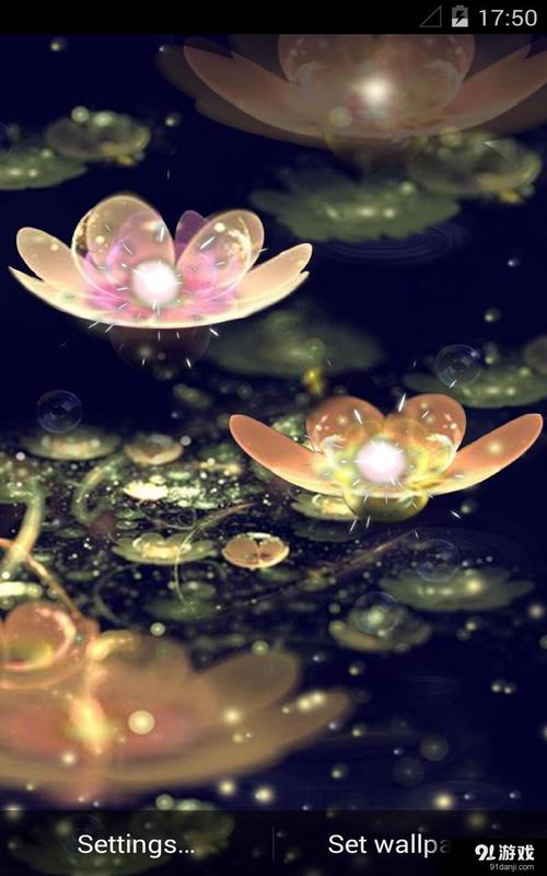 莲花灯笼