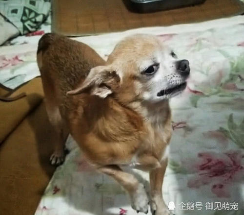 我身边的演员