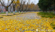 风景如画的校园