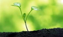 十年树木百年树人