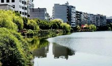 美丽的鹅湖公园