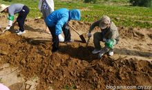 一场热火朝天的劳动