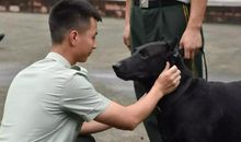 忘不了那匆匆的五年