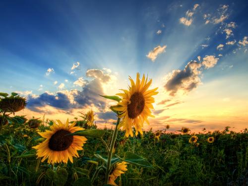 失踪是正常生活