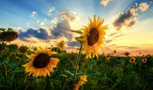 错失是一种生活常态