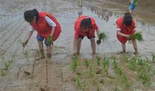 参加“农村小农夫”活动