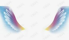 乘着梦想的翅膀飞翔