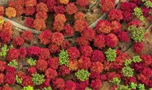 春风拂过的那一刻