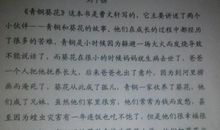 读青铜葵花有感