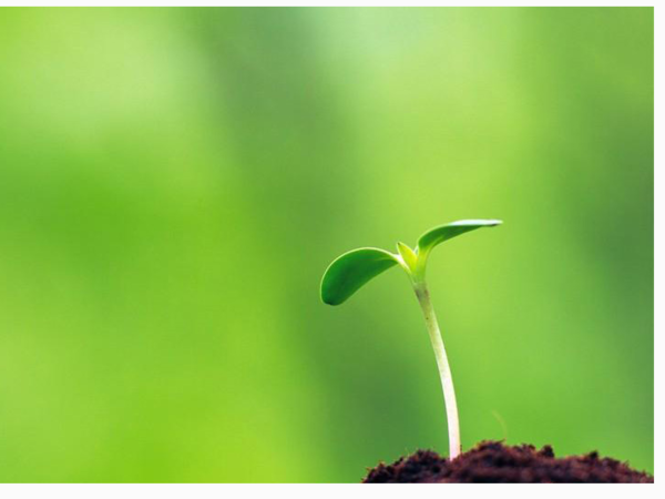 生活深深地启发了我