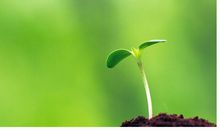 一个生命让我深受启发