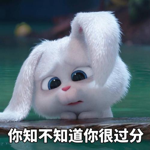 动物的最爱