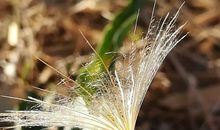 总有惭愧值得记忆