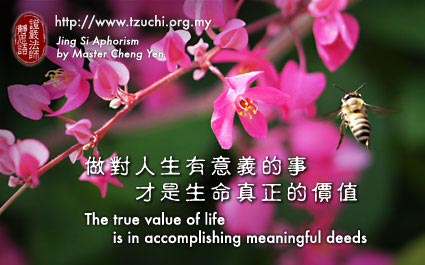 宝贵的生命
