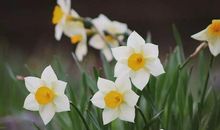 春光明媚好读书