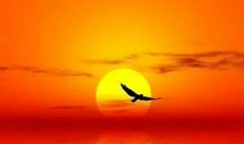 珍惜当下拥抱未来