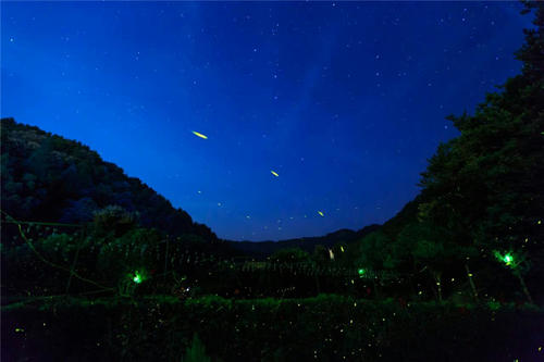 夏夜的美丽景色