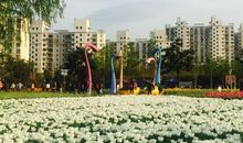 我的世界，为你留住春天