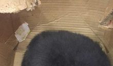 当我离开家的时候